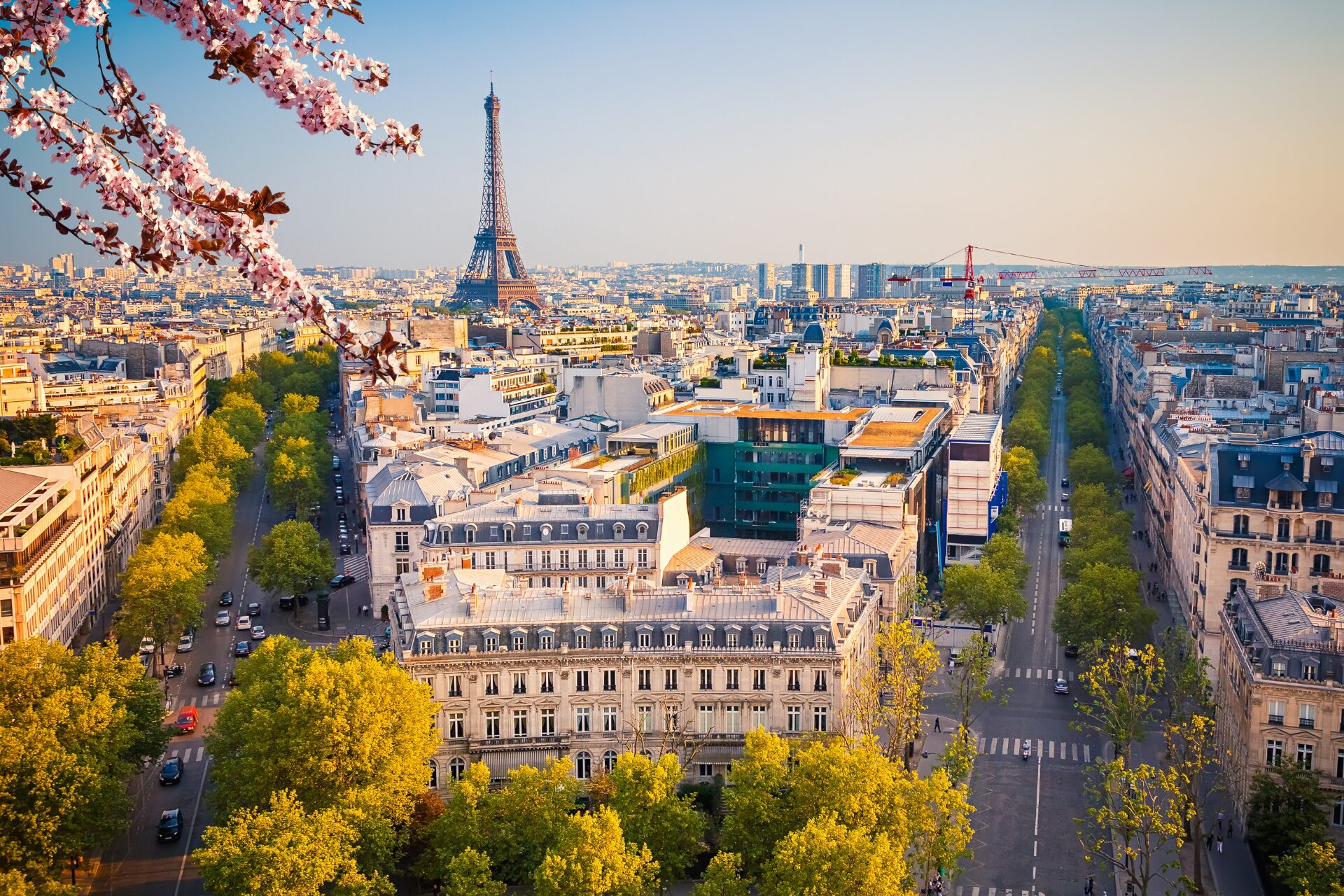 Vue aérienne du centre de Paris avec la Tour Eiffel en arrière-plan, des rues bordées d'arbres et des cerisiers en fleurs au premier plan. Vue aérienne du centre de Paris avec la Tour Eiffel en arrière-plan, des rues bordées d'arbres et des cerisiers en fleurs au premier plan.