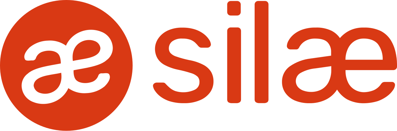 logo-silae Silae partenaire Sinergis IT